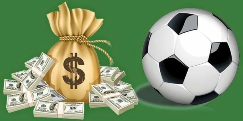 Bí quyết từ nhiều chuyên gia
